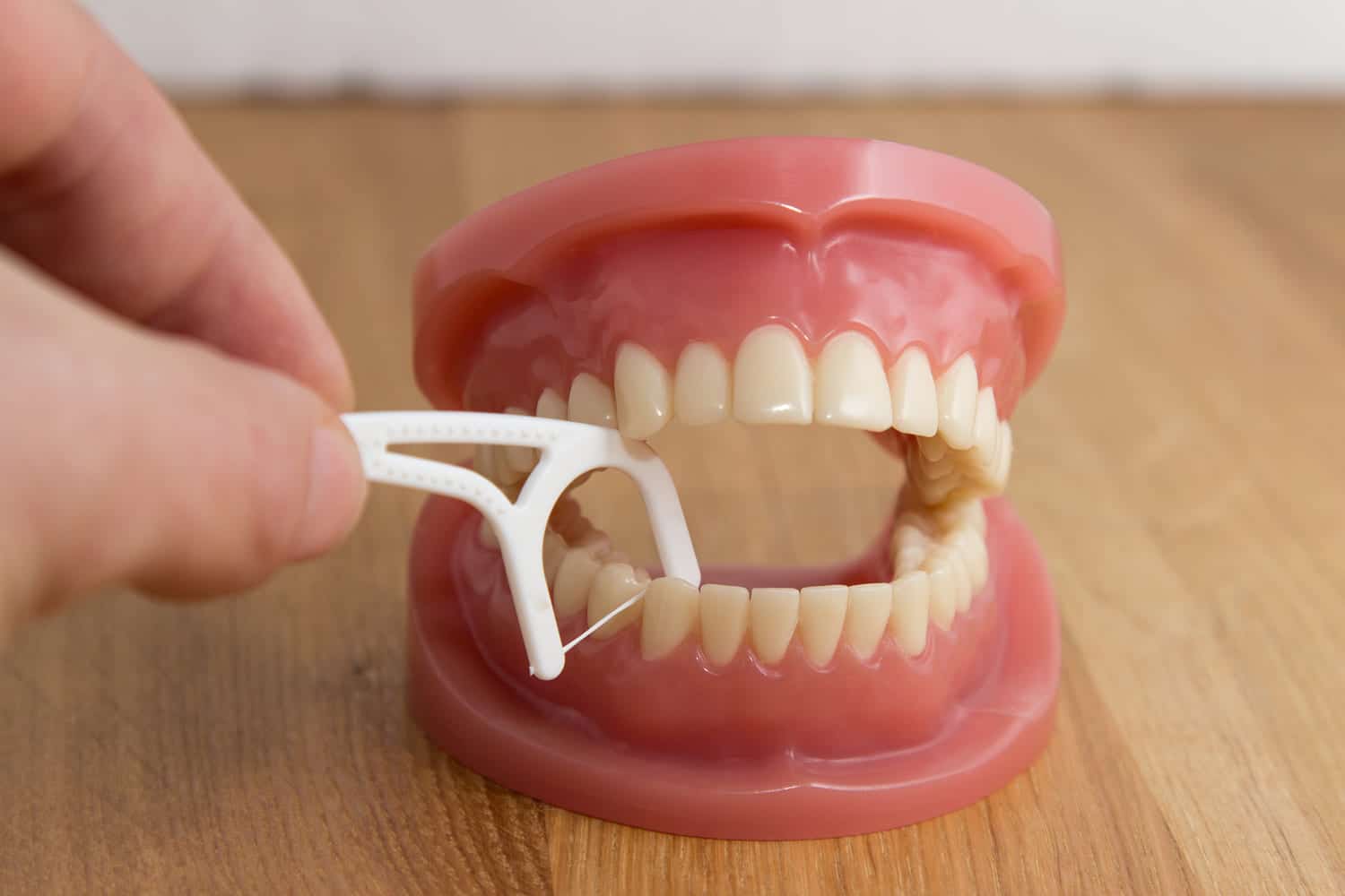 Dental Cleaning